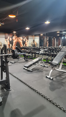 Lion gym